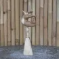 morepic-4